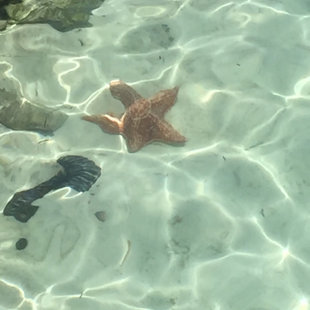 Meet your Posher, Linda